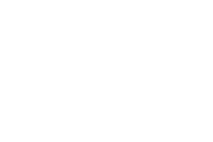 Control Flex