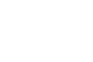 KSPG